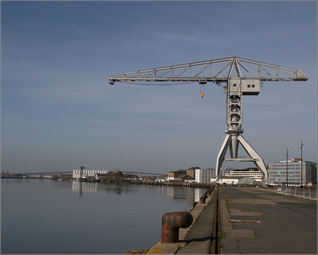 Grue Titan Grise