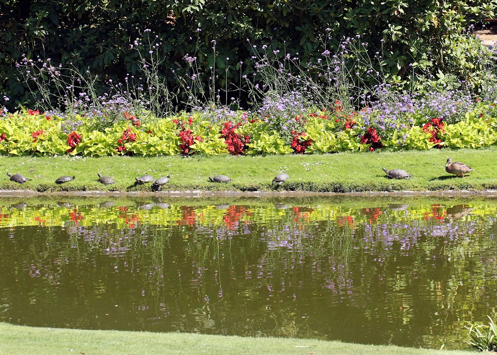Nantes / Au jardin des plantes