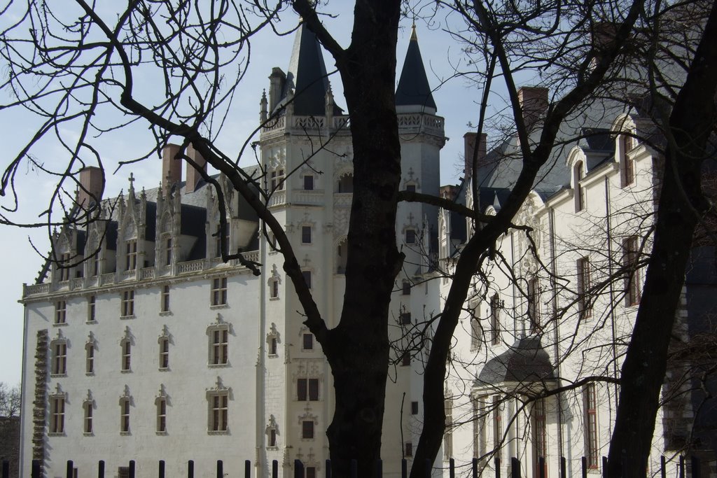 Chateau de Nantes