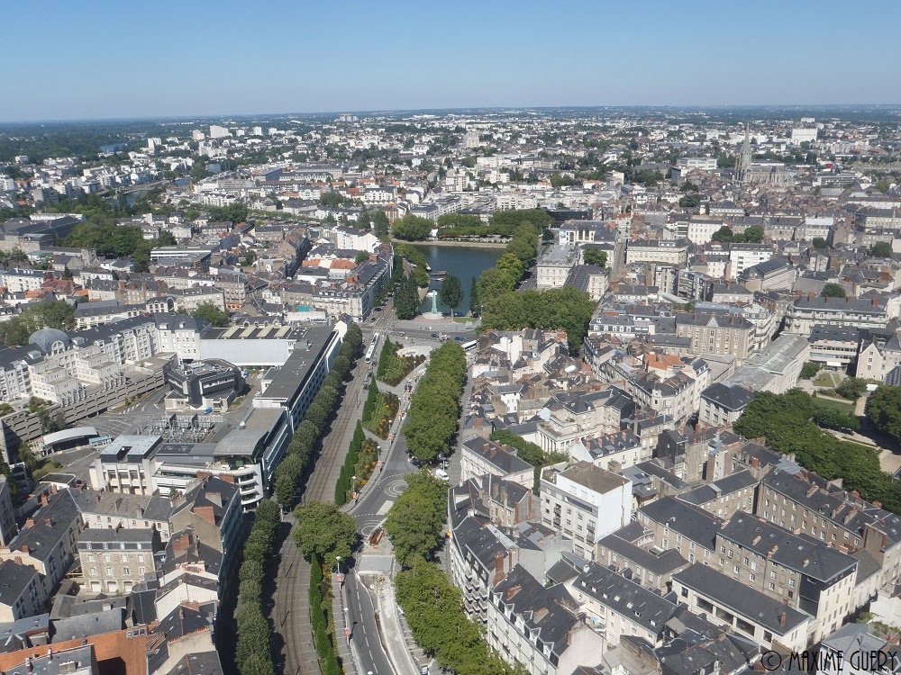 Nantes depuis le nid
