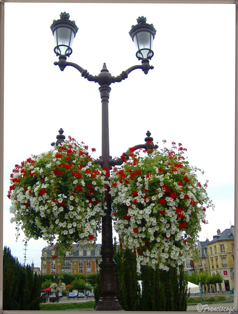 REIMS