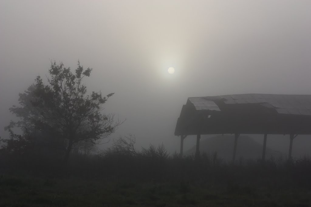 Brumes matinales