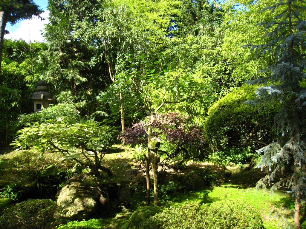 De la verdure partout !!.