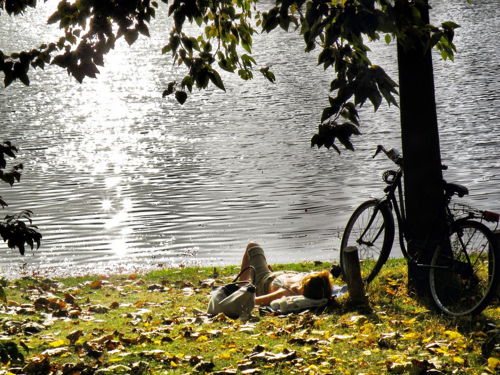 Dernier rayon de soleil au Bois de Boulogne