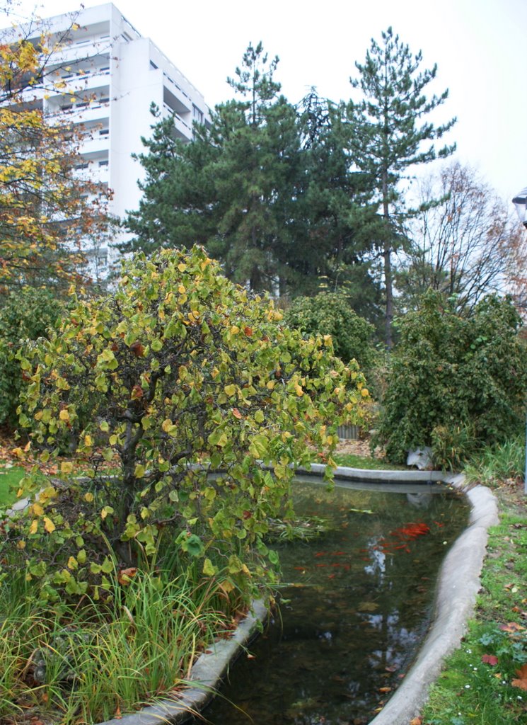 Boulogne-Billancourt.le parc de mon enfance, le bassin aux poissons rouges