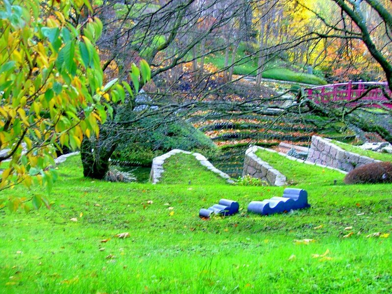 Jardins Albert Kahn, Automne 2008