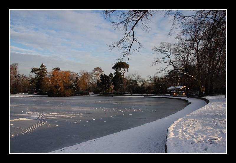Paris - Bois de Boulogne - Lac Supérieur (© Loïc DOUILLET)