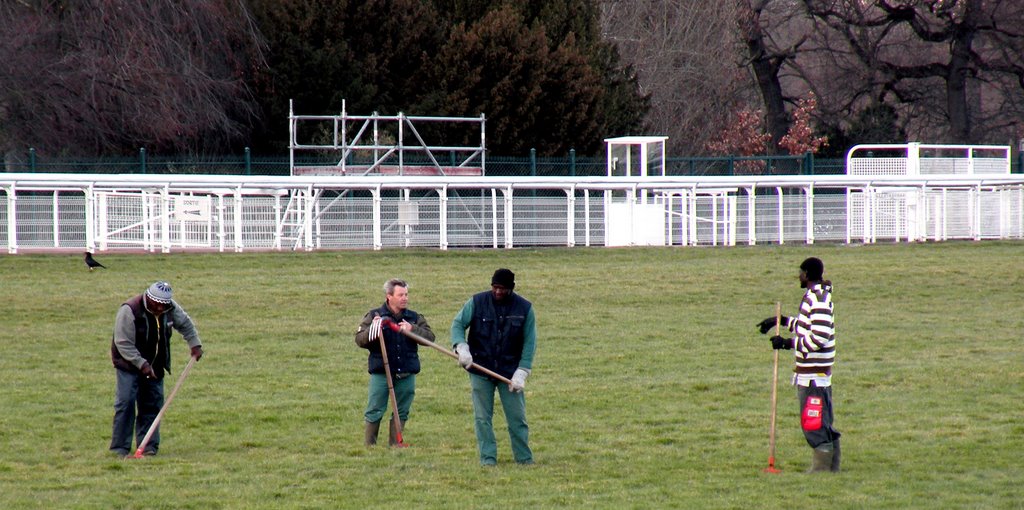 Préparation de la piste de galop à Auteuil
