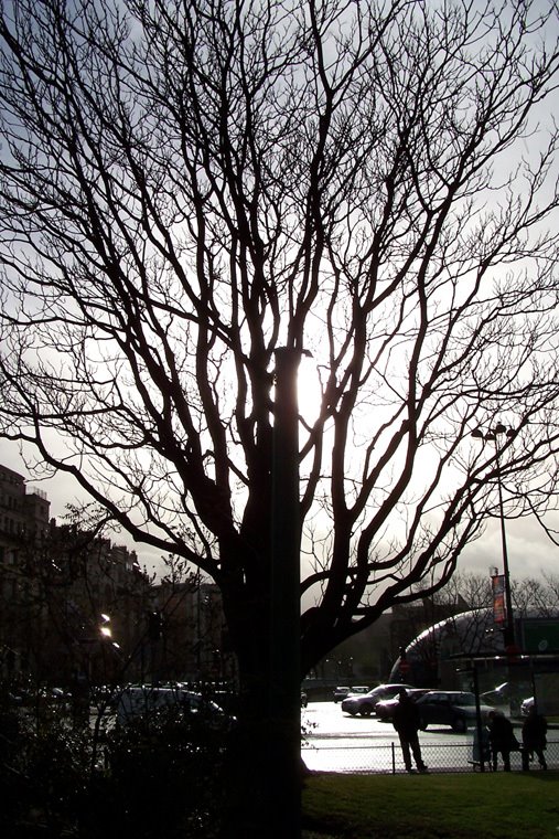Boulevard dAuteuil