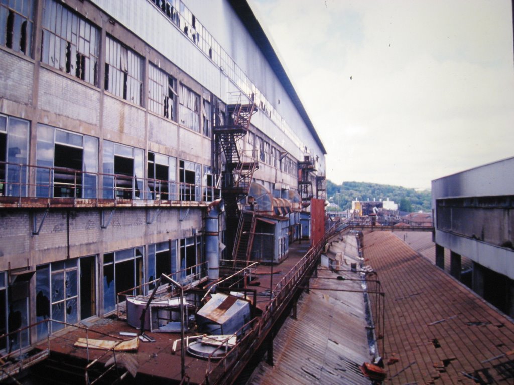 It was the biggest factory in France
