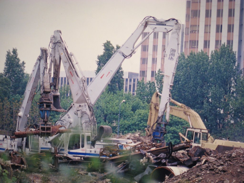 Ile Seguin.Renault. Du mouron a se faire.