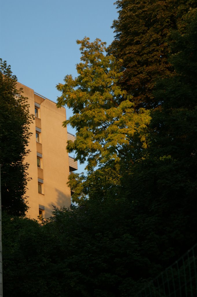 la nature en ville. Les Montquartiers