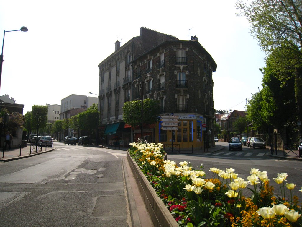 Massif fleuri tout en long.