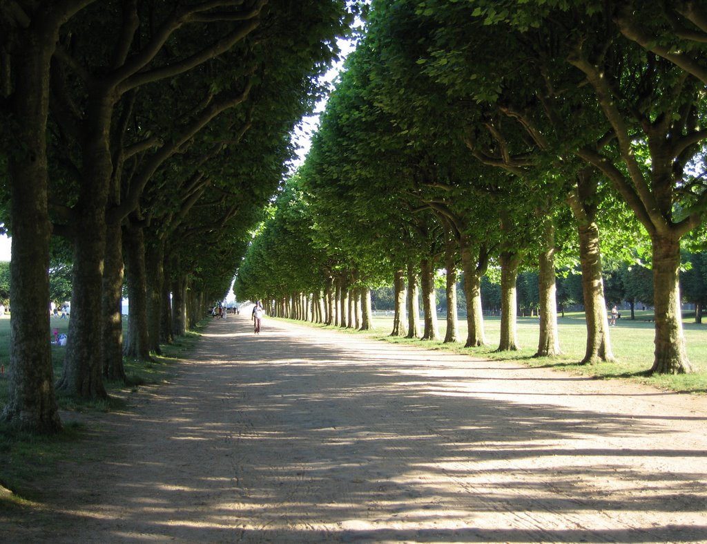 Allée Observatoire