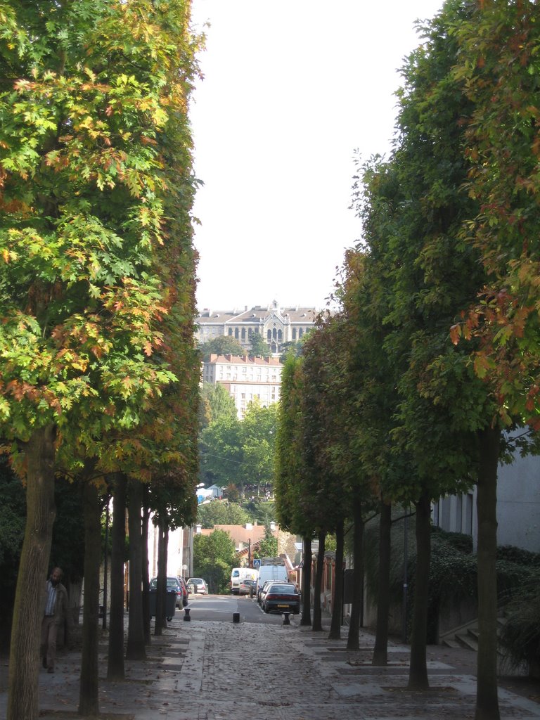 Rue Hérault