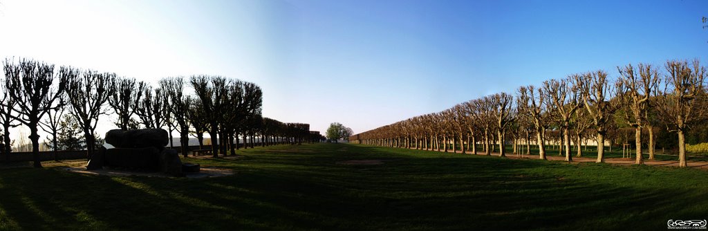 Panorama Observatory