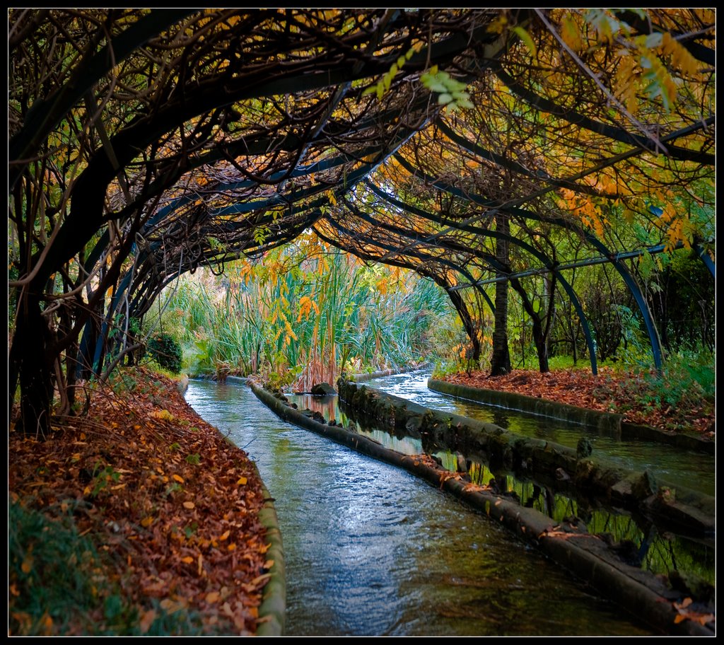 La rivière enchantée du Jardin dacclimatation