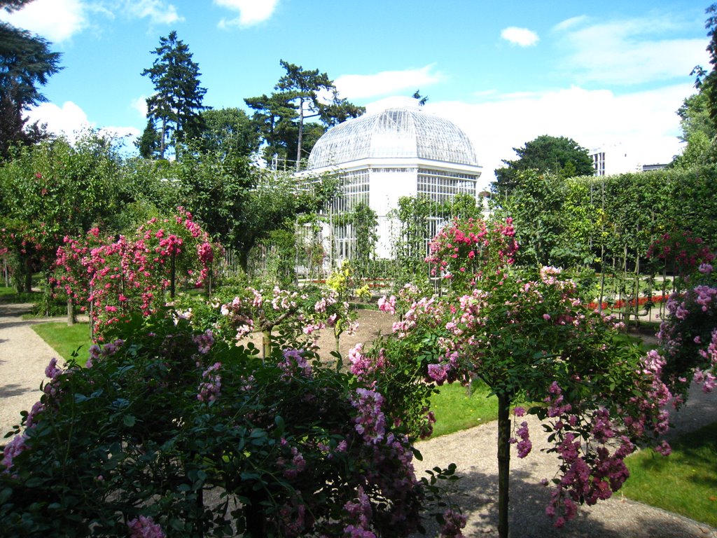 Serre et jardin.