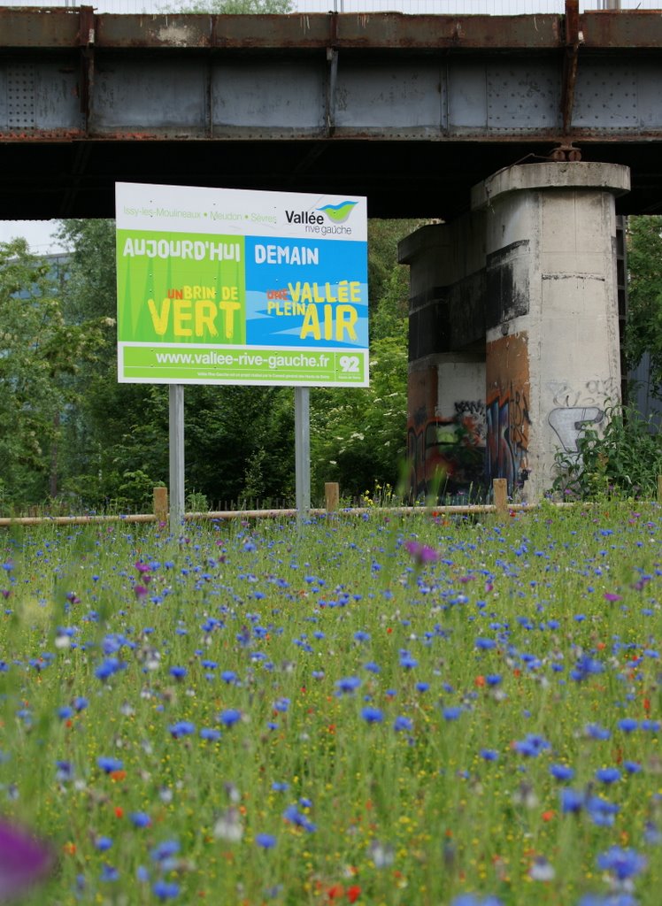 Issy les Mlx. lespoir dun peu de verdure renait