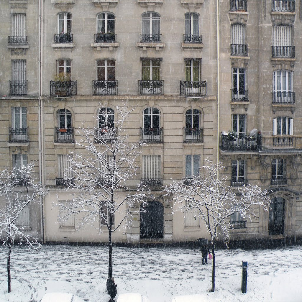 Paris 8-XII-2010.  # Le jour de la pagaille. #  The day of mayhem. # Un giorno di caos. #