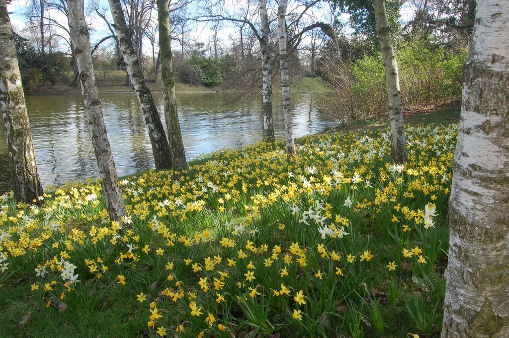Rueil-Malmaison