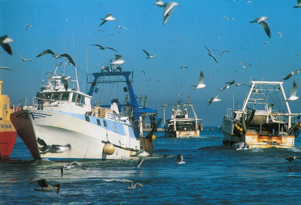 Larrivé des bateaux