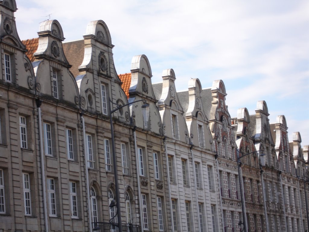 vista Arras (houses)