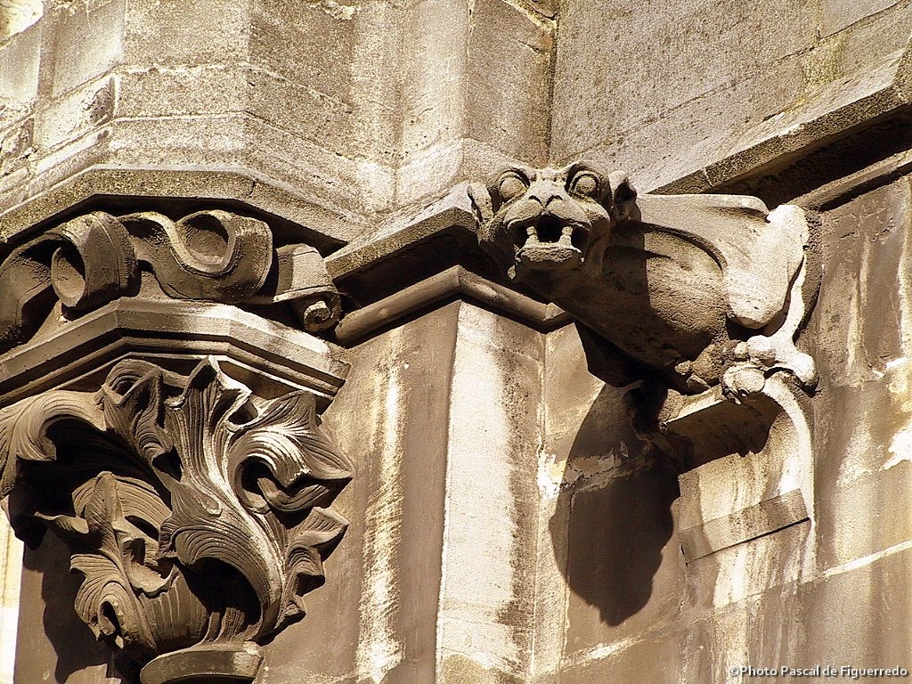 © dFP - Gargouille de lÉglise Saint Jean Baptiste dArras