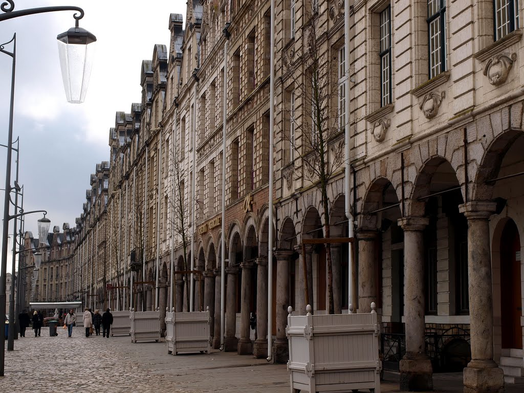 Arras