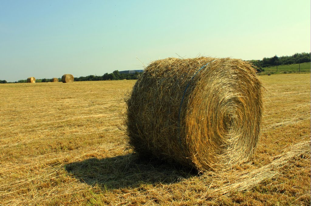 Hay Roll
