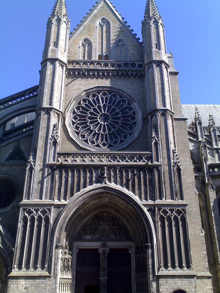 10062006247