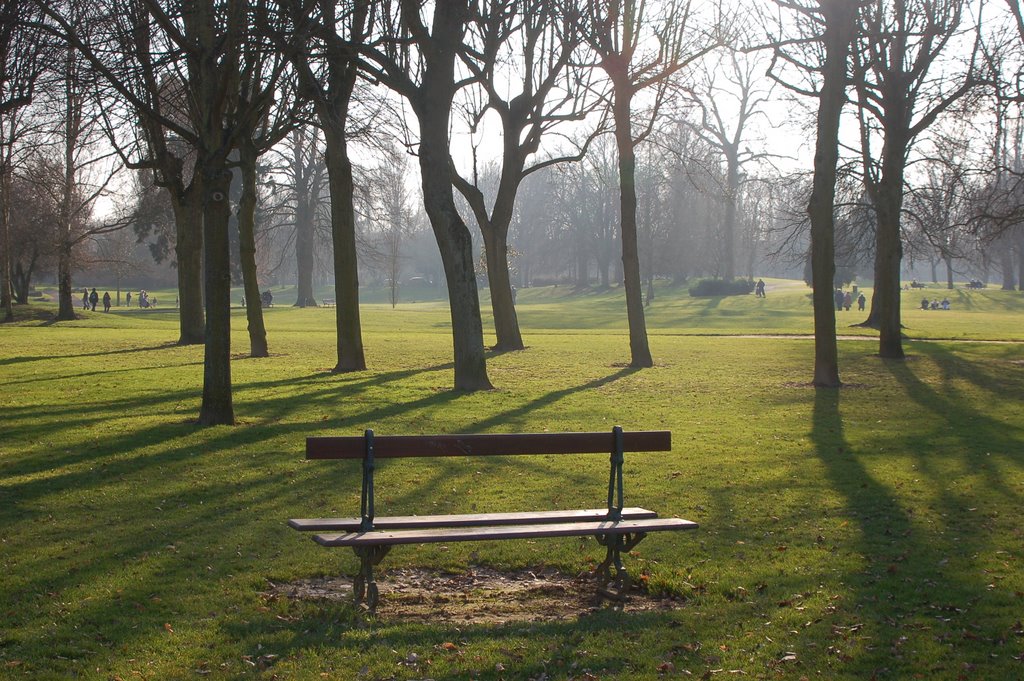 Arras