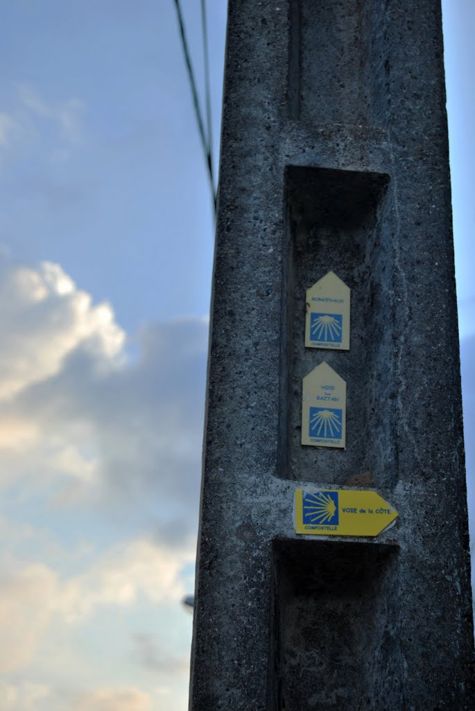 Separación de Caminos