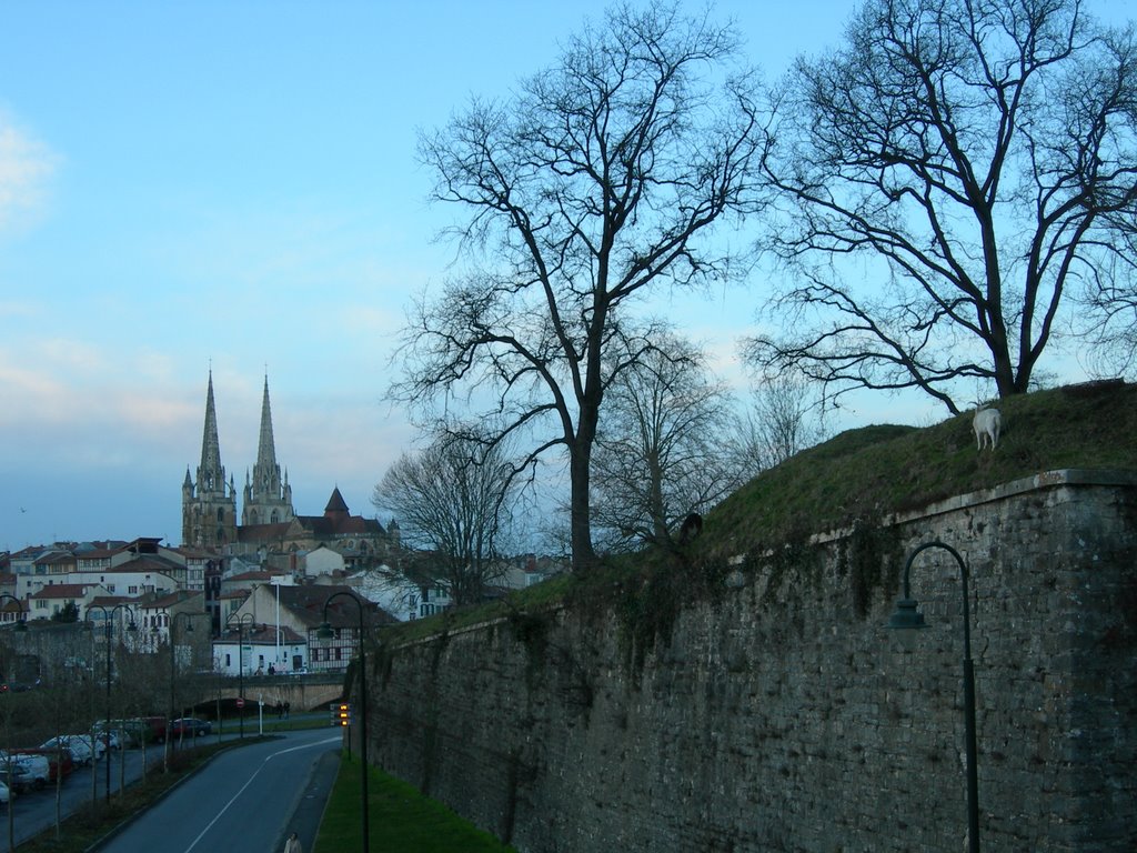 Chèvres