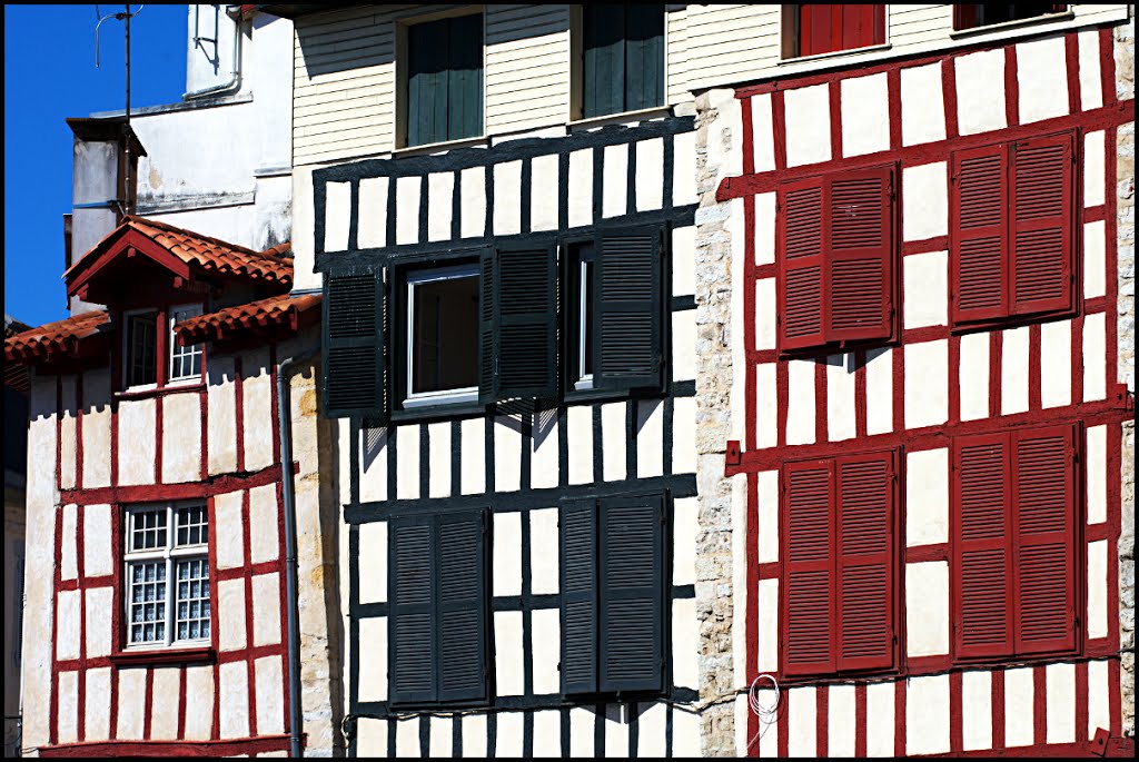 Entangled (Bayonne)
