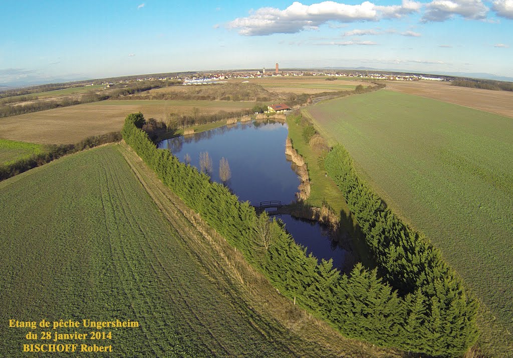 Etang de pêche Ungersheim