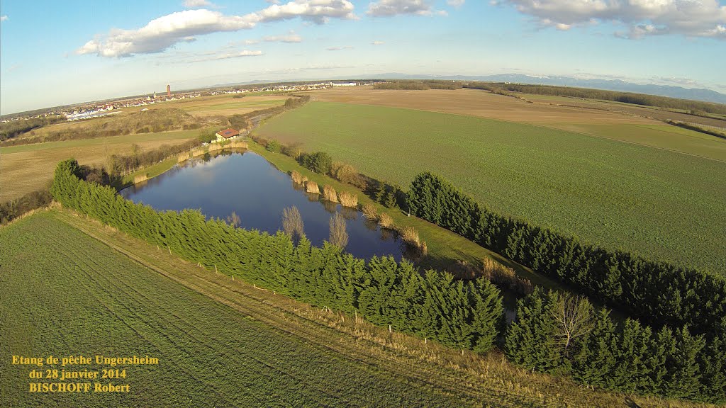 Etang de pêche Ungersheim