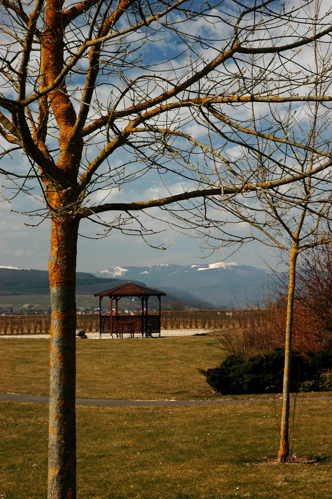 Alsace