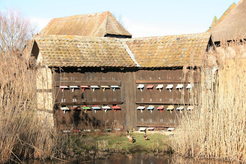 Ungersheim - Ecomusée