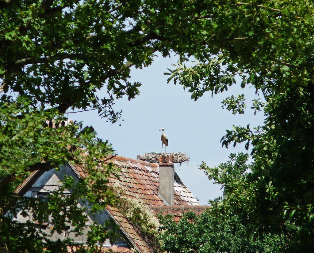 Ecomusée dUngersheim