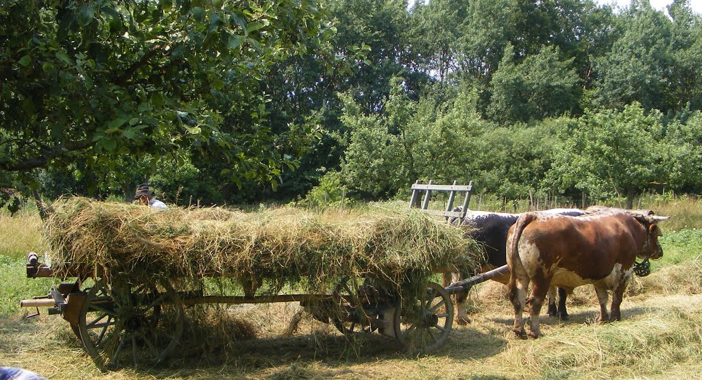 Le foin sur la charette
