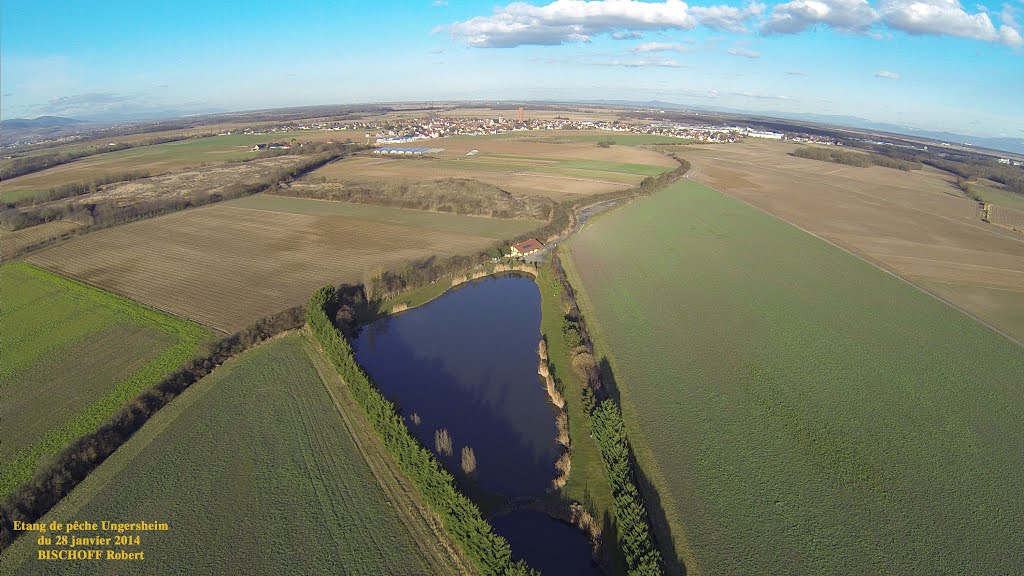 Etang de pêche Ungersheim