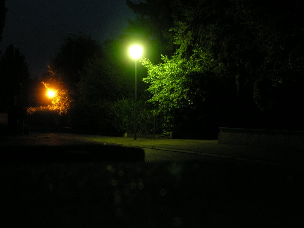 Feldkirch (Haut-Rhin) by night