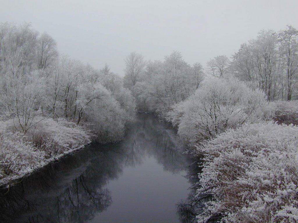 la Thur en hiver