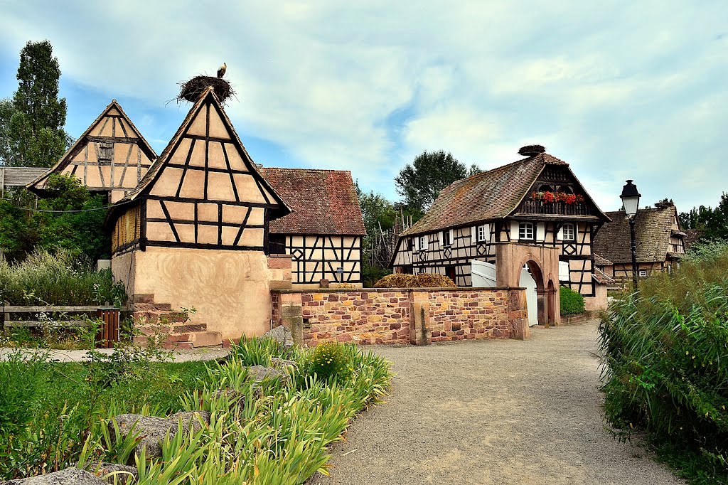 Écomusée d’Alsace, Ungersheim, Hof vom Kochersberg