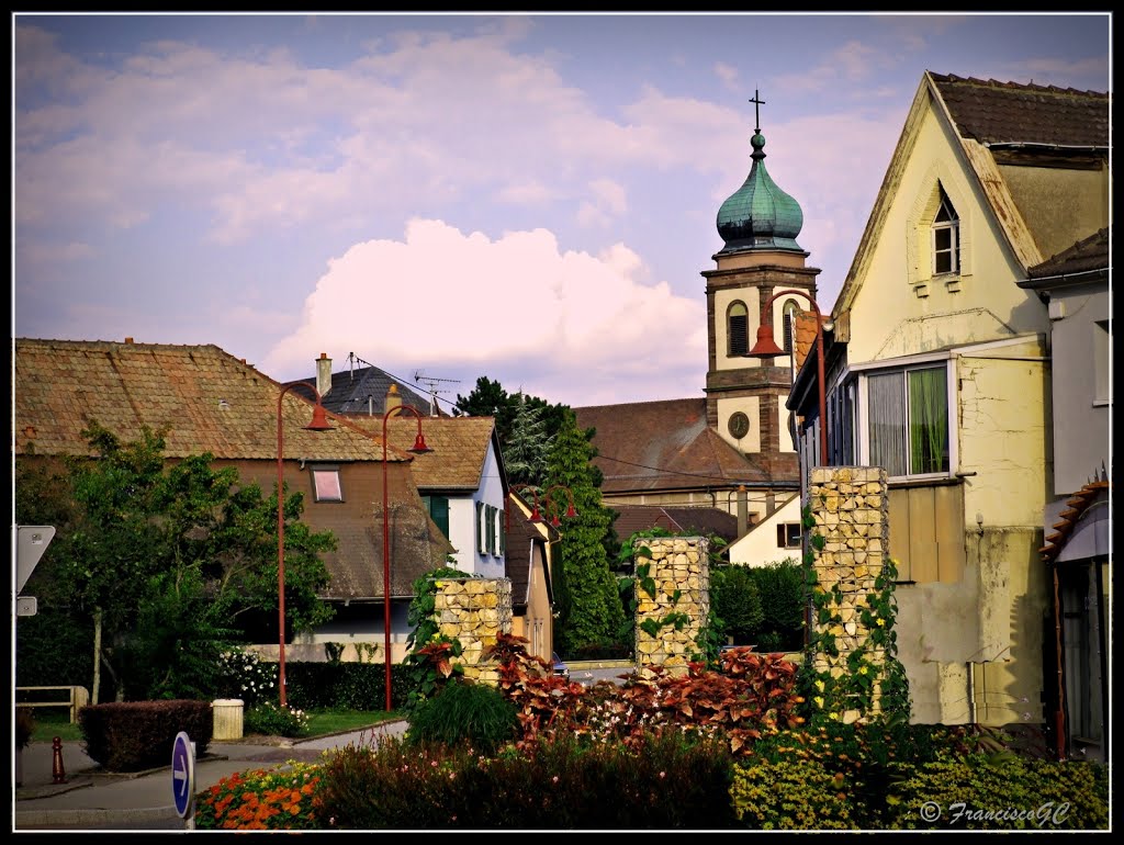 BOLLWILLER -La route des vins -  Alsace-France-- (by FranciscoGC)