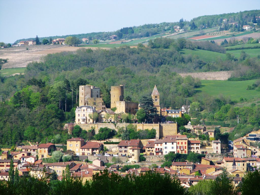 CHATILLON DAZERGUES près de LYON  Avril 2010