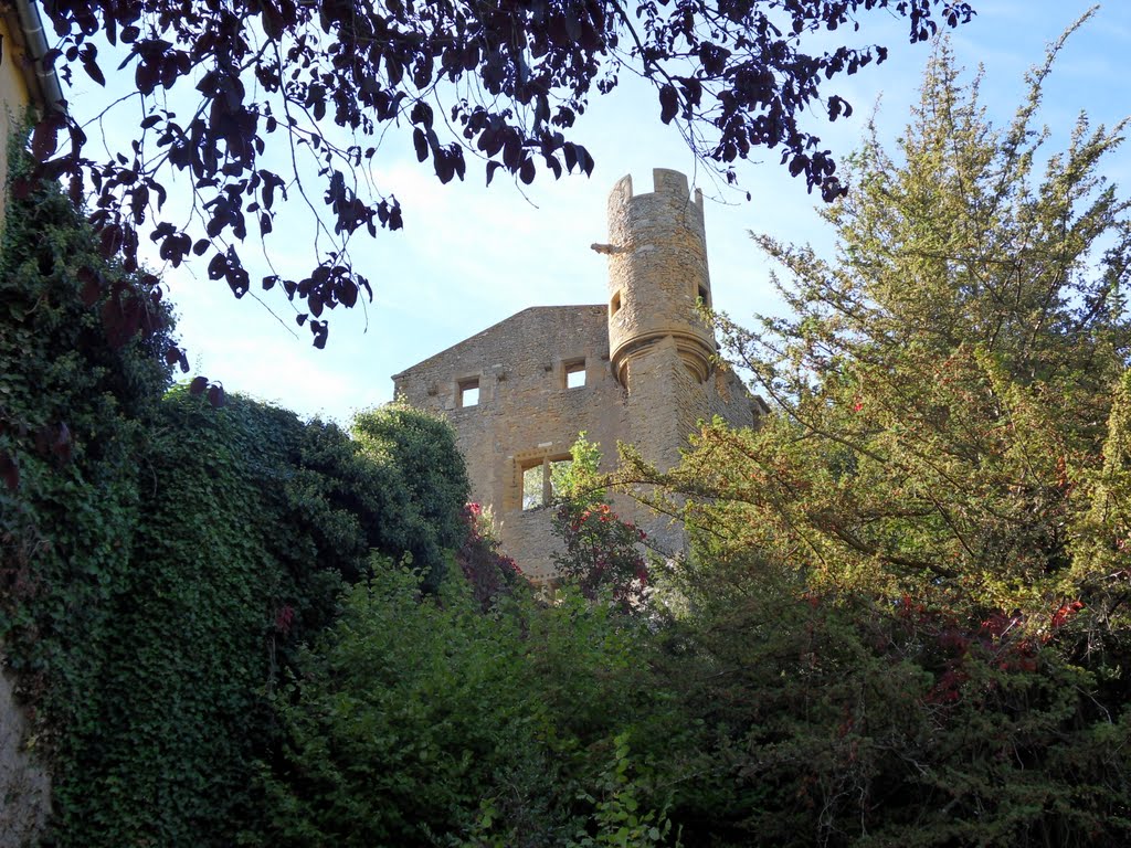 Le château de Châtillon sur Azergues dans le Beaujolais