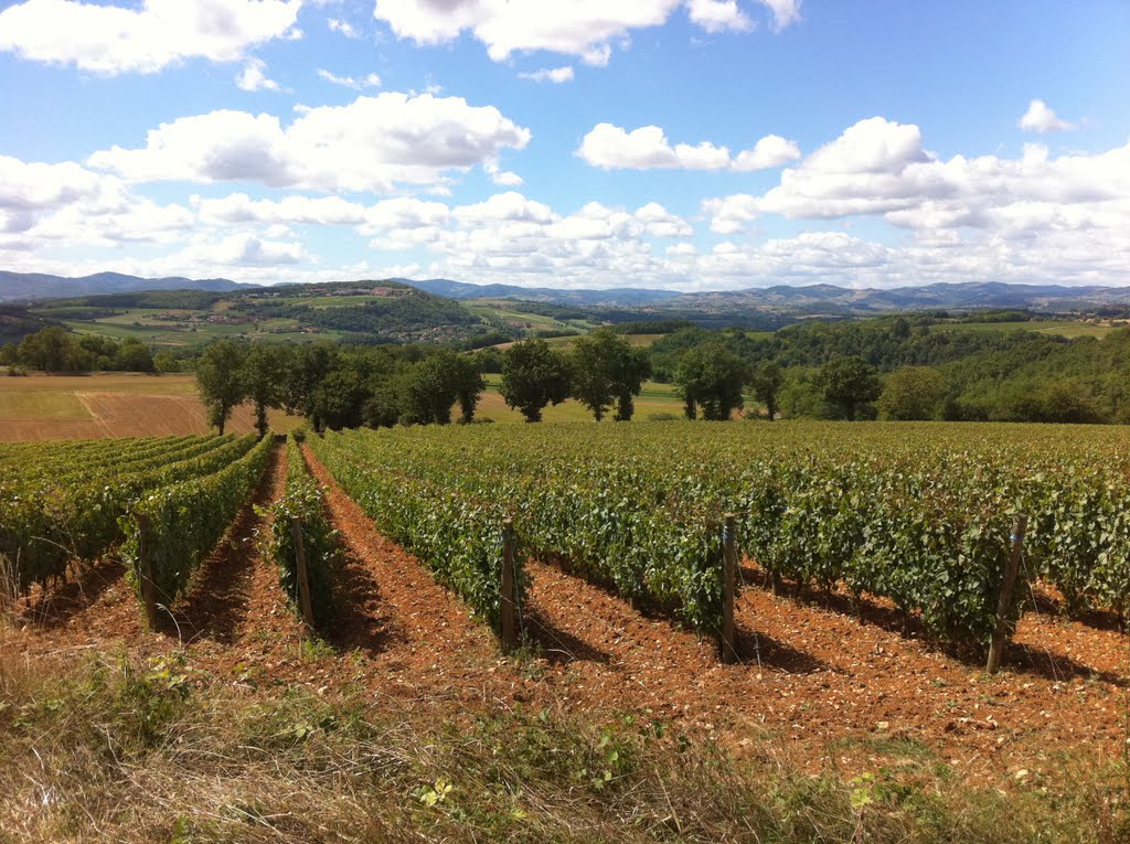 Pays BEAUJOLAIS