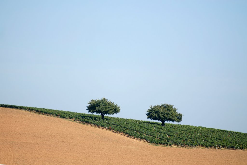 Quand on est deux en beaujolais...